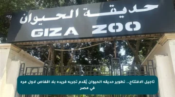 تأجيل الافتتاح.. تطوير حديقة الحيوان يُقدم تجربة فريدة بلا أقفاص لأول مرة في مصر